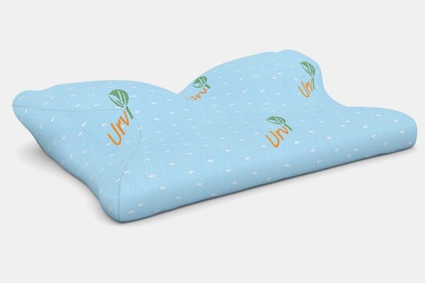 Urvi Butterfly Pillow